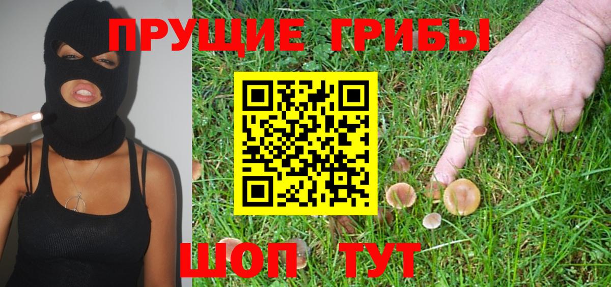 Галлюциногенные грибы Psilocybe  Вход с VPN  Ставрополь 